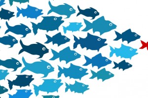 القيادة بالعاطفة